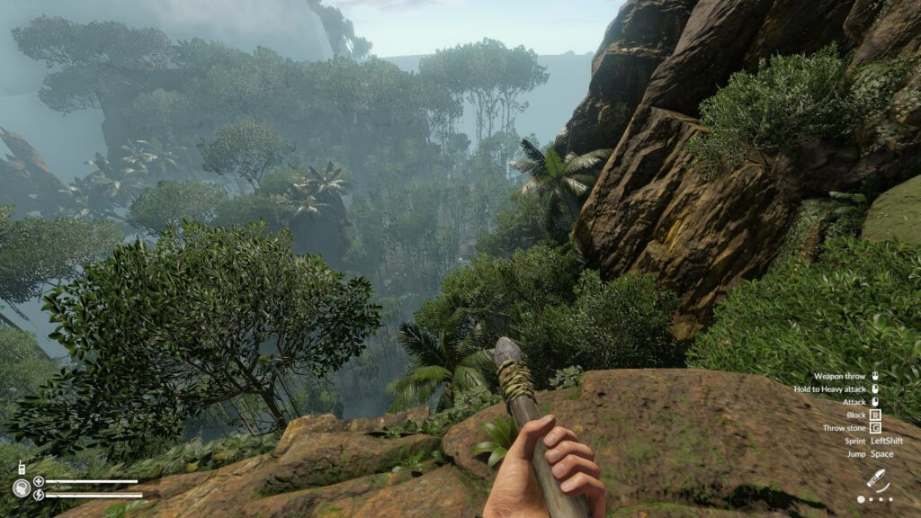Looking Down into the Jungle from a Cliff in Green Hell