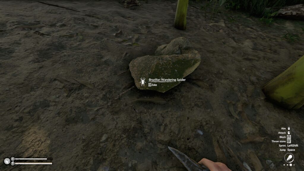 A Triggered Stone Trap