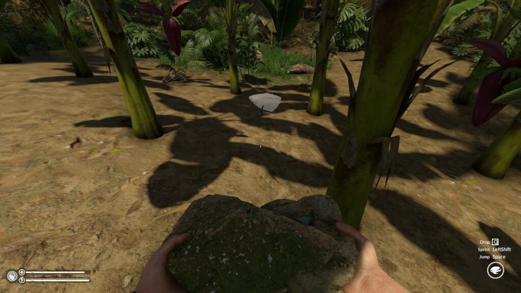 Placing a Stone Trap in Green Hell