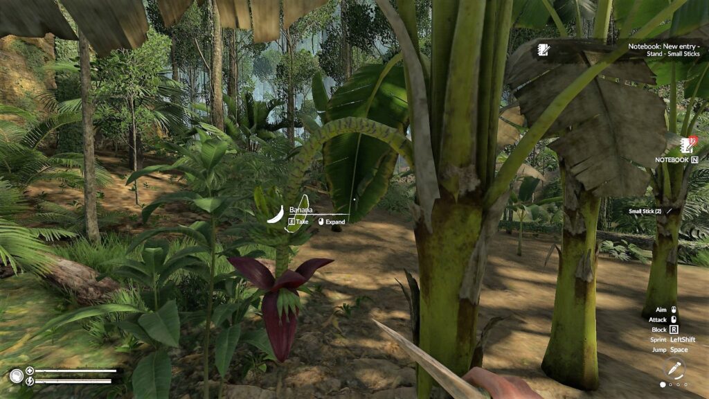Picking Bananas from a Tree in Green Hell