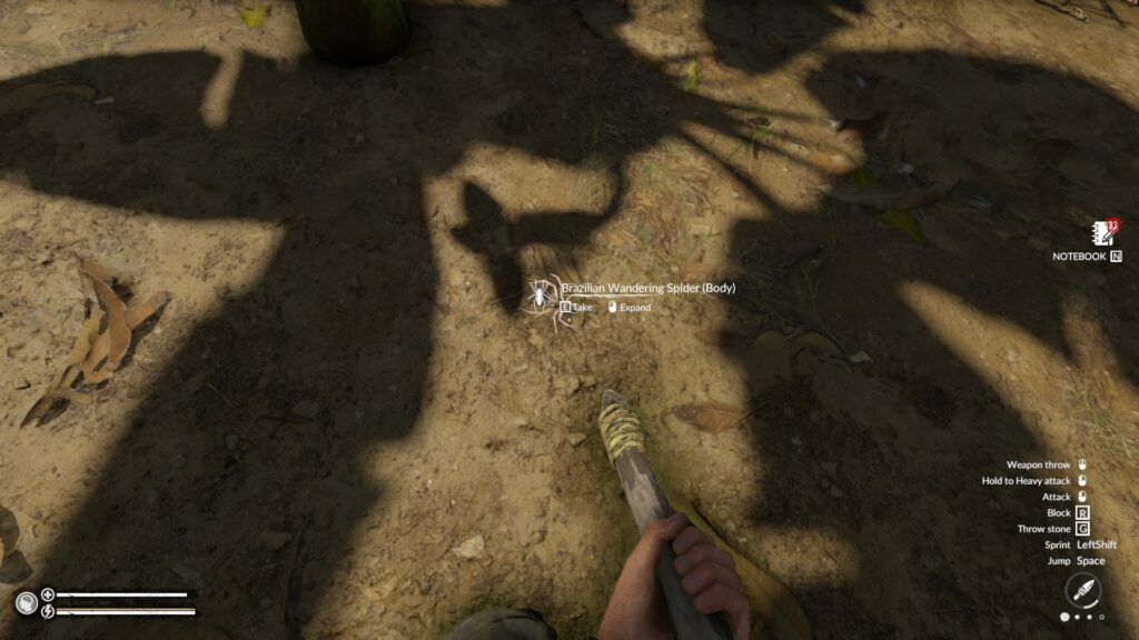 Stabbing a Brazilian Wnadering Spider with a Spear