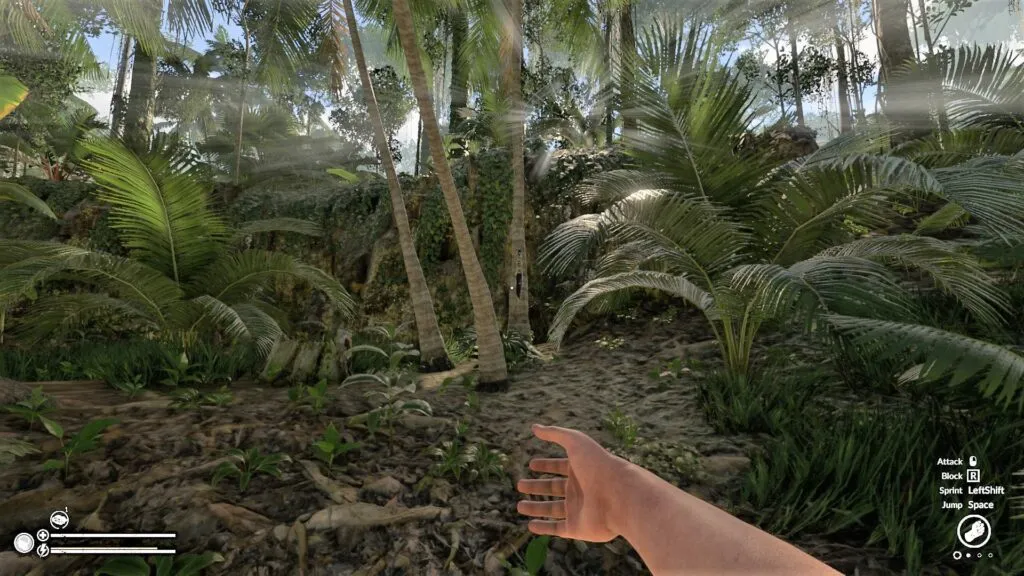 Throwing Attack with the Obsidian Blade in Green Hell