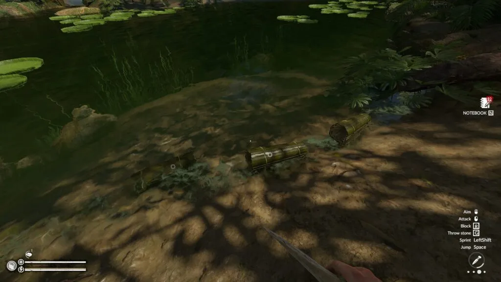 A Series of Prawn Traps Set in Green Hell