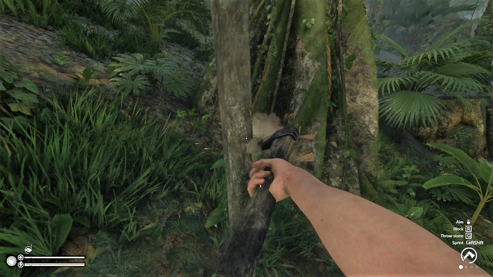 Chopping Down a Tree with the Rusty Axe in Green Hell