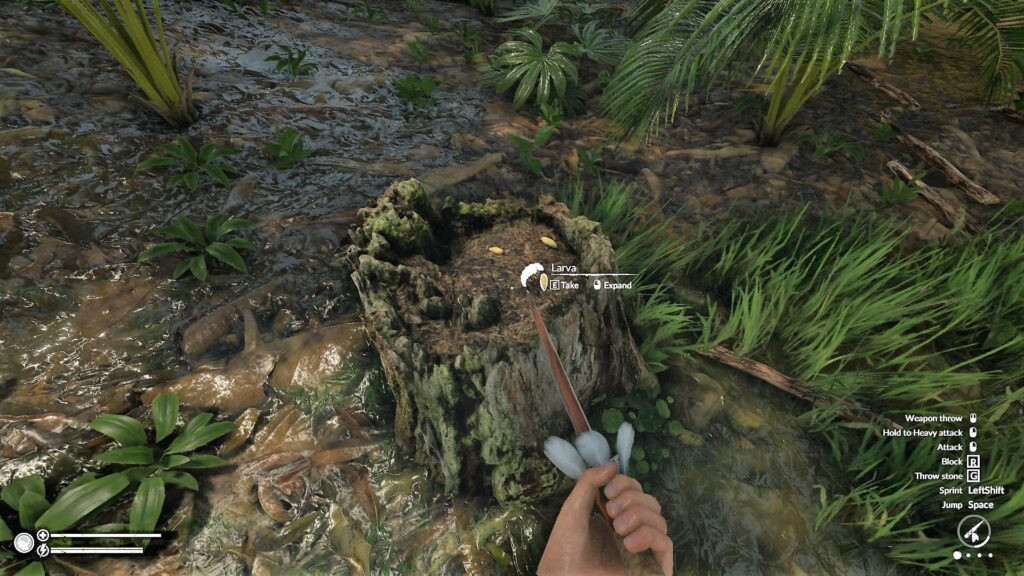 A Tree Stump with Collectible Larva in Green Hell