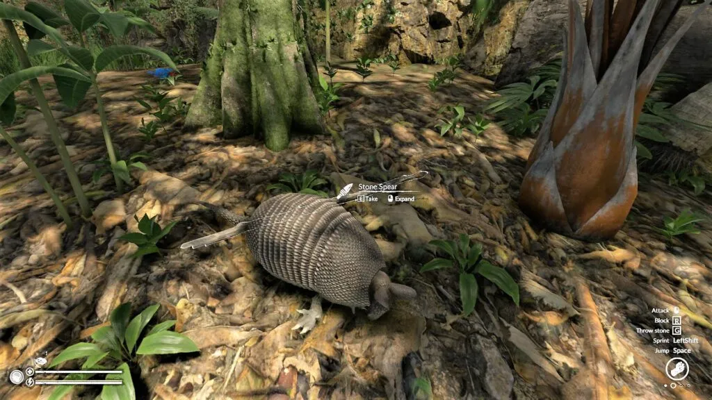 Retrieving a Spear from an Armadillo in Green Hell