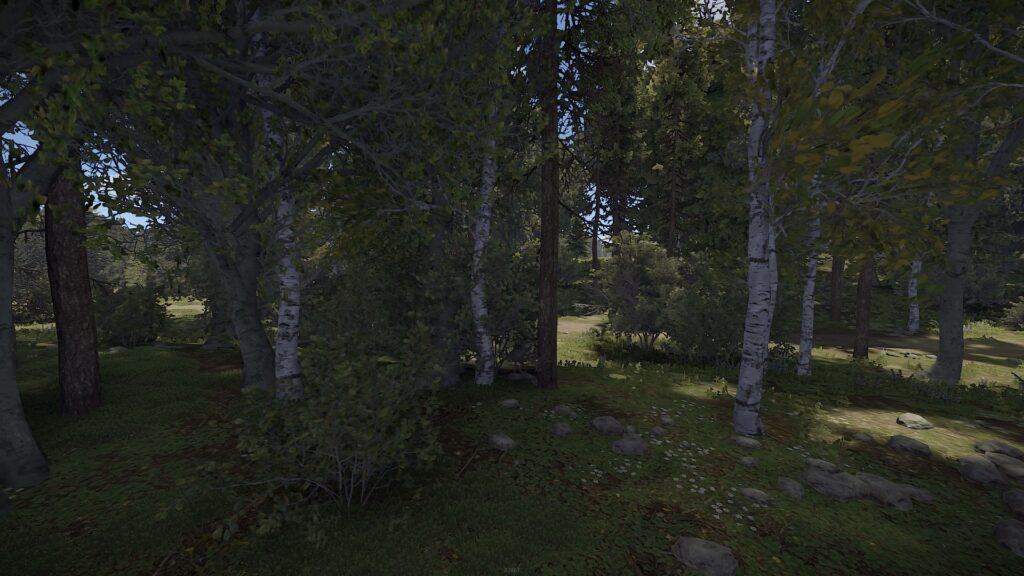 Deep, Dark Forest Base Locations in RUST