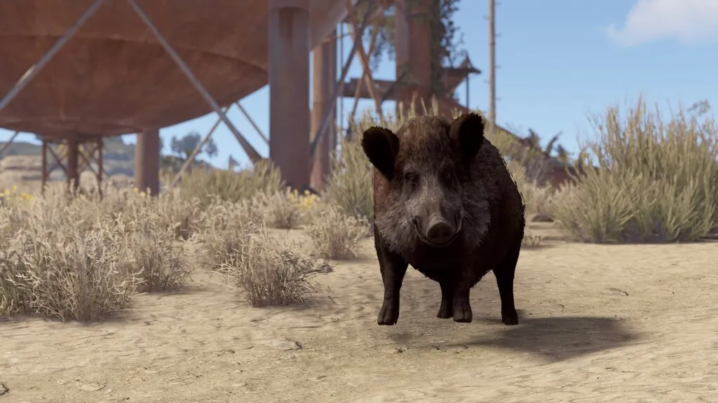 RUST Boar