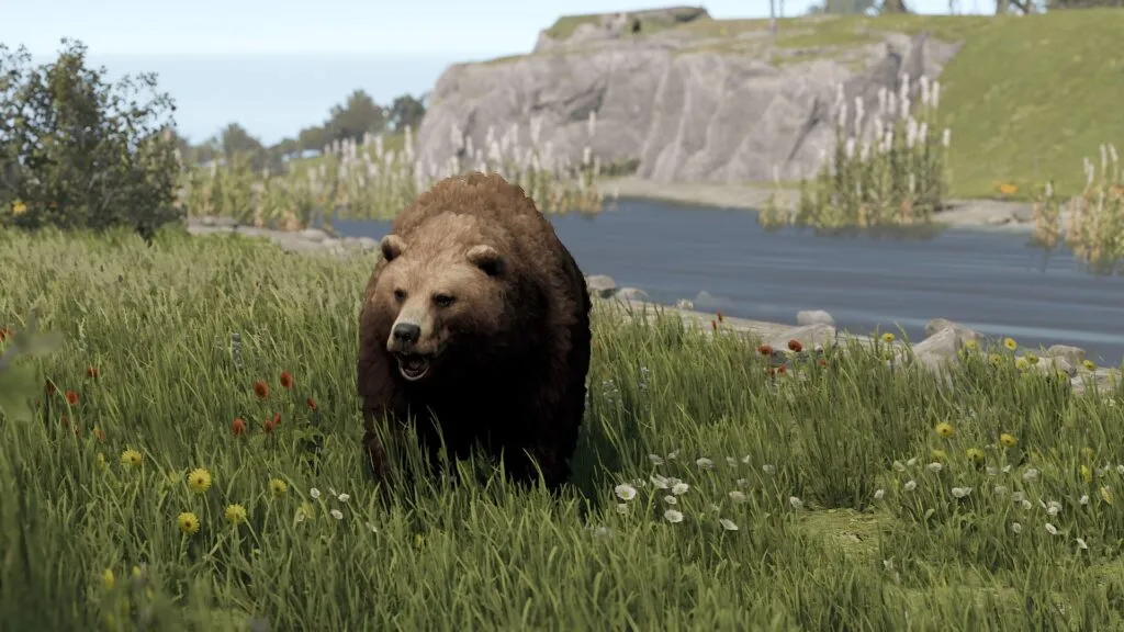 RUST Bear (Brown)