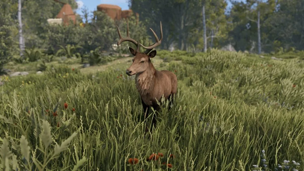 RUST Stag