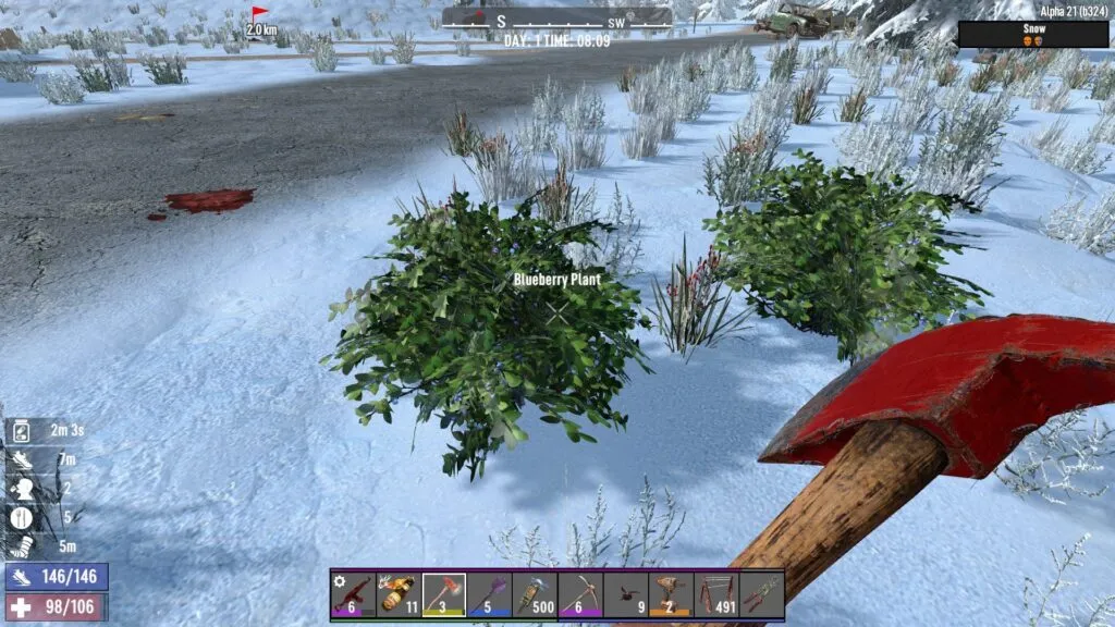 Foraging Blueberry Plants in the Snow in 7 Days to Die