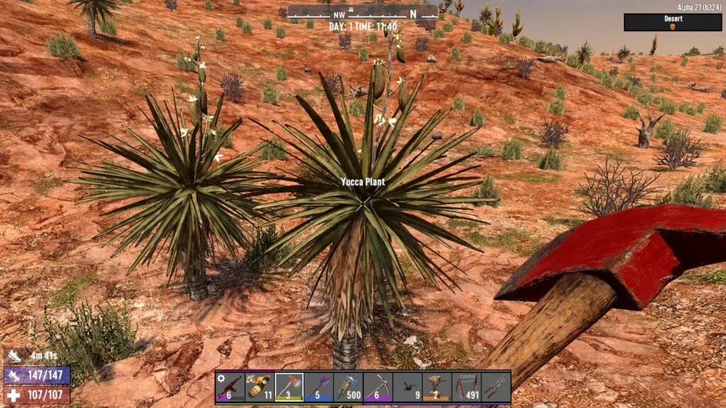 The Yucca Plant in 7 Days to Die