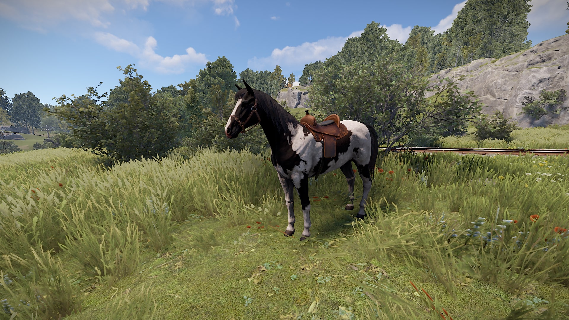 The RUST Horse Guide Corrosion Hour