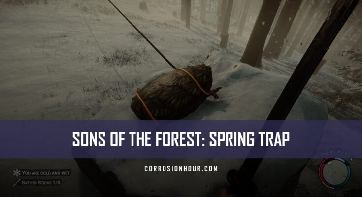 Sons Of The Forest Spring Trap