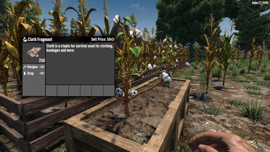 7 Days to Die player walking through a Cotton Farm