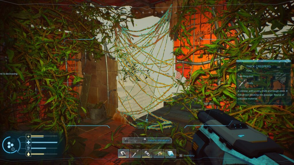 Cutting Through Vines for Biomass in Forever Skies