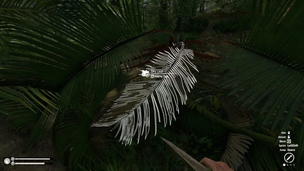 Palm leaves lying on the ground