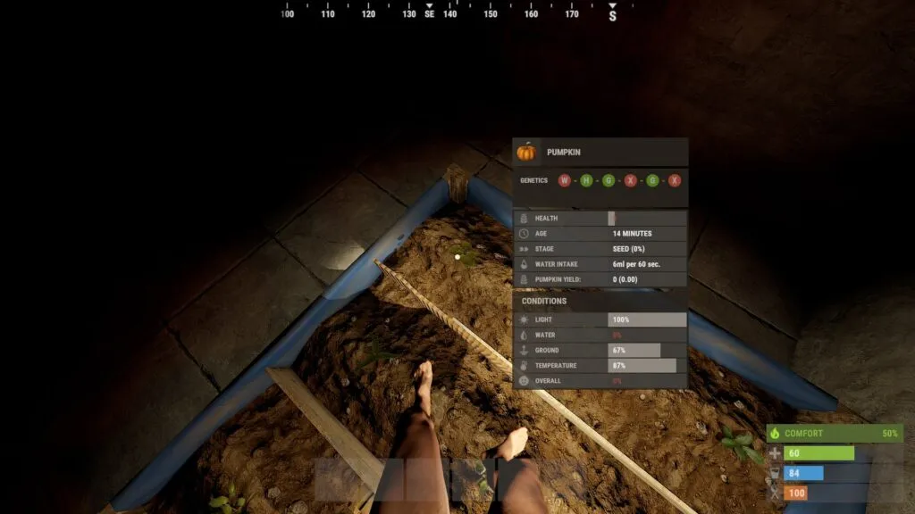 RUST Pumpkin Genetics Dialog
