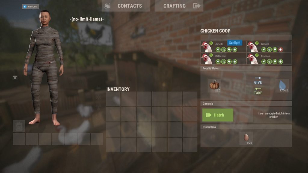 Chicken Coop Overview Looking at Sunlight Stat