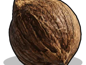an icon of a coconut from the game RUST