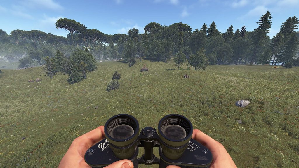 Holding Binoculars in Hand