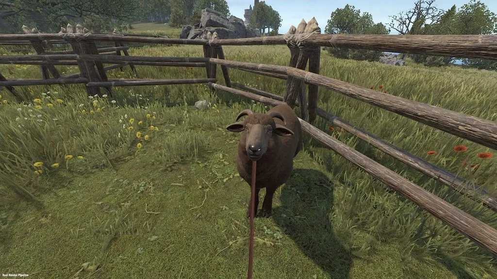 Sheep Traveling 1