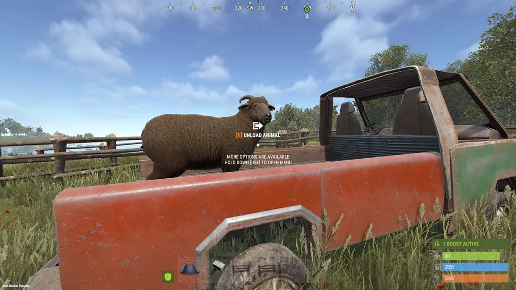 Sheep Traveling 3