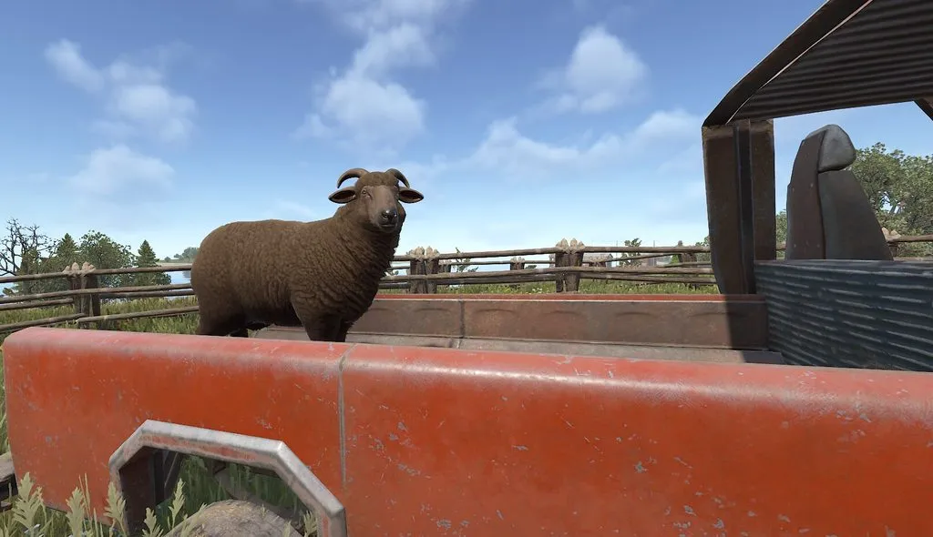 Sheep Traveling 4