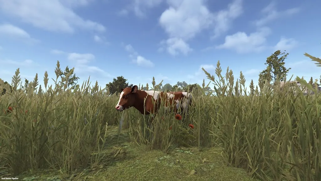RUST Calf
