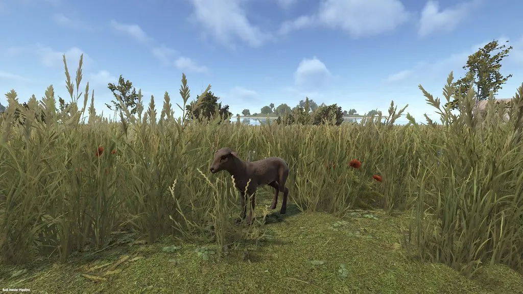 RUST Lamb