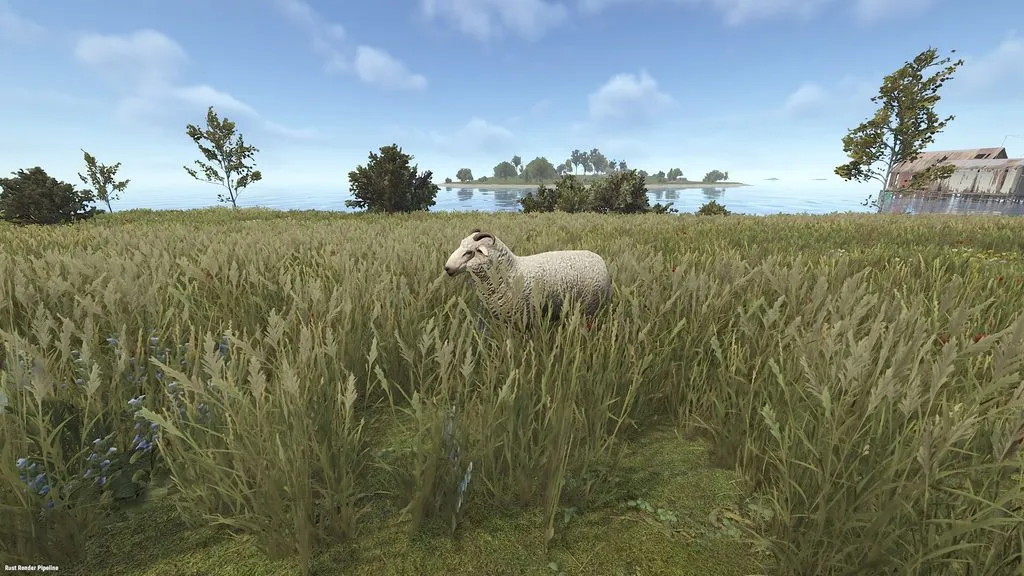 RUST Sheep