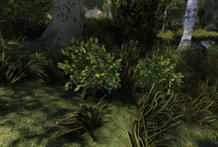 screenshot of green berry bushes