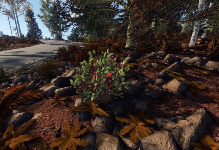 screenshot of red berry bush