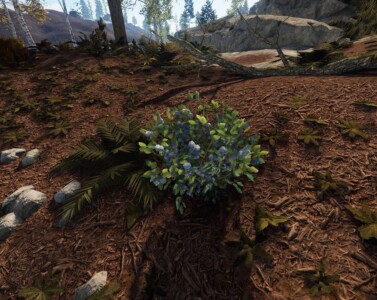 screenshot of white berry bush